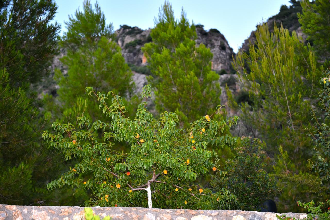Bay View Guesthouses Kalamata Exterior foto